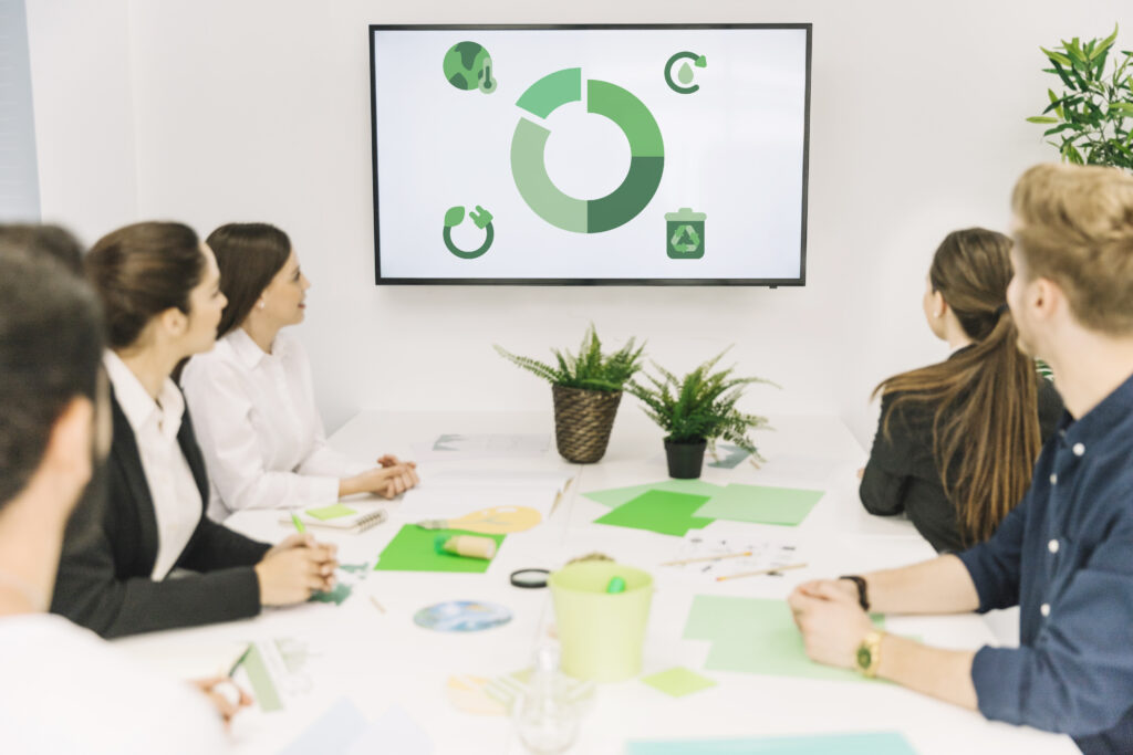 Environment Issues and Mitigation Strategies​