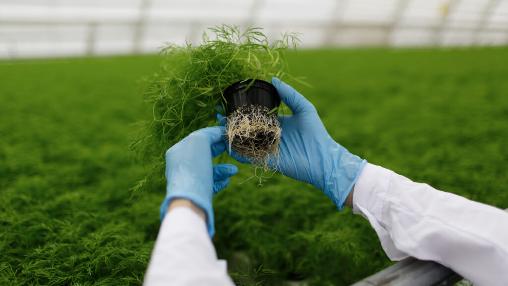 Environmental Microbiology